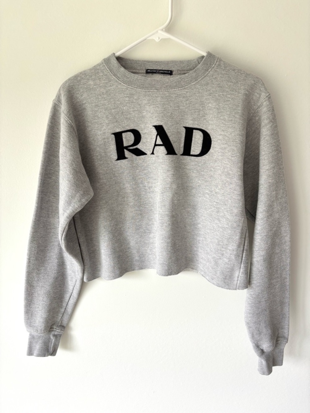 Brandy Melville Gray Rad Cropped Crew Neck Sweatshirt Y2K Streetwear Casual